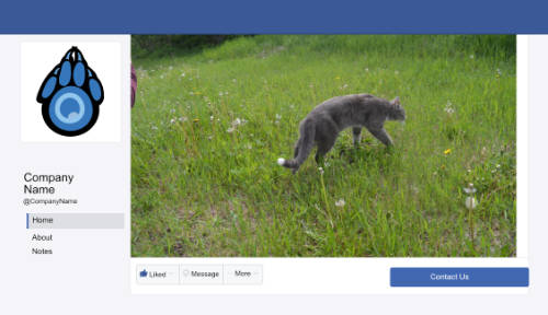 Facebook Header