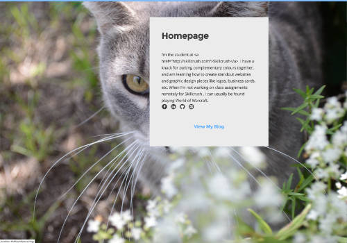 Personalized Wordpress Theme Homepage